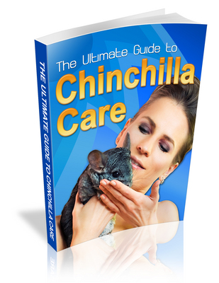 Product picture THE ULTIMATE GUIDE TO CHINCHILLA CARE