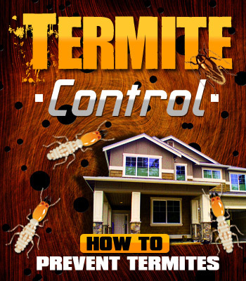 Product picture CONTROL AND GET RID OF TERMITES